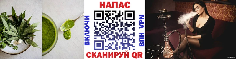 Canna-Cookies марихуана  где купить   мега как зайти  Майкоп 