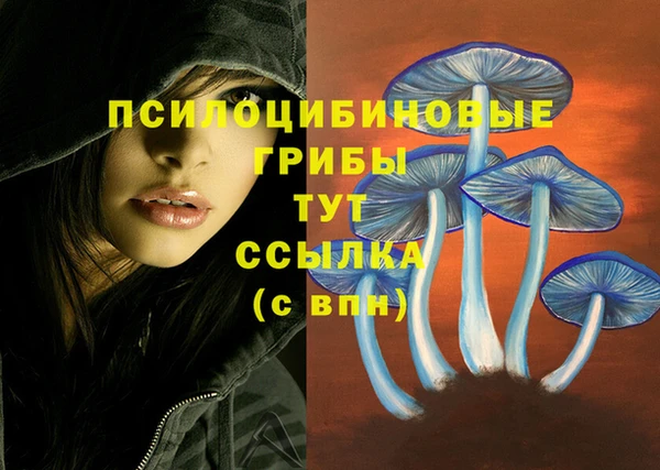 мескалин Протвино