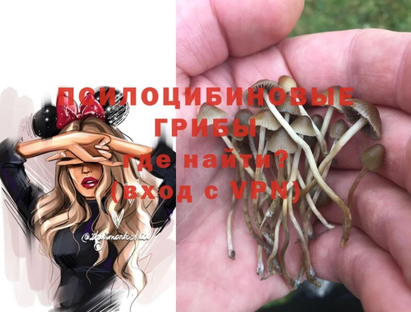 мескалин Протвино