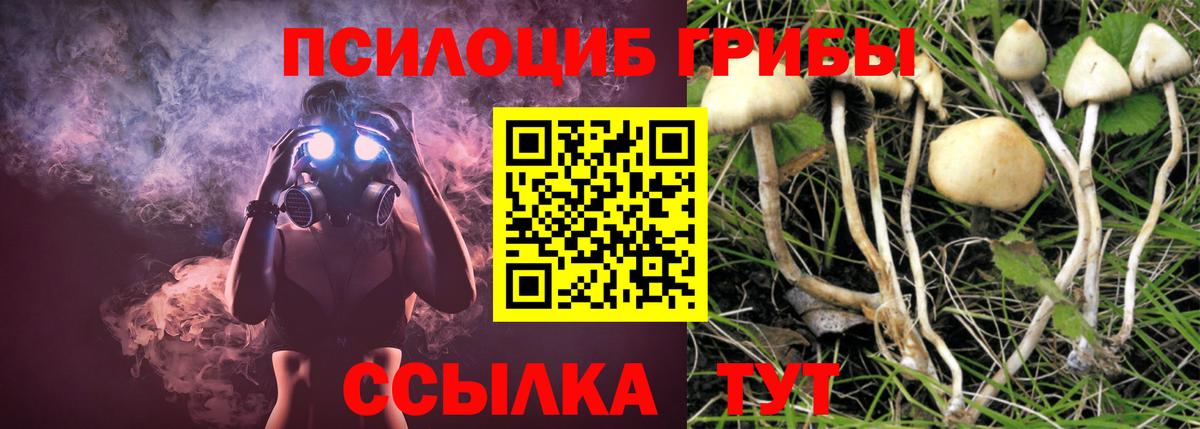 Майкоп  Псилоцибиновые грибы Cubensis  Вход с VPN 