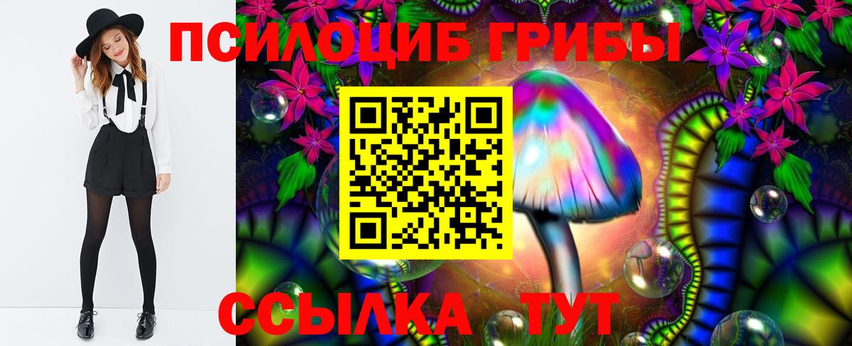 Псилоцибиновые грибы мицелий Майкоп