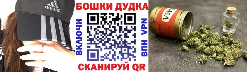 купить закладку  hydra рабочий сайт  Каннабис сатива  Майкоп 